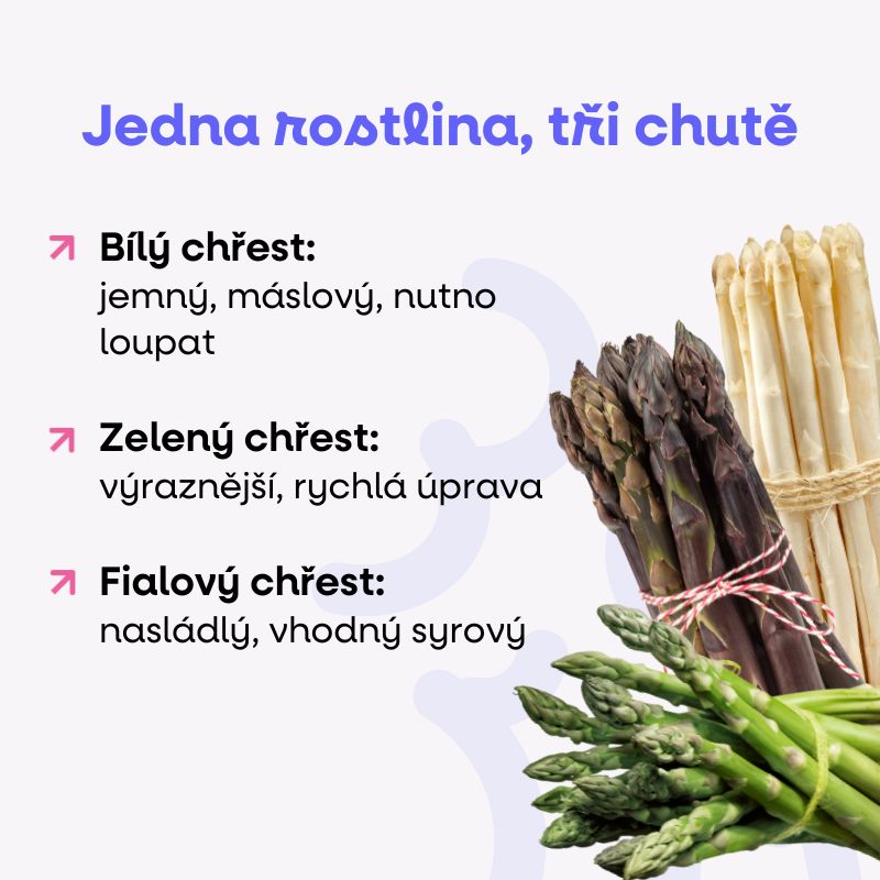 Chřest druhy